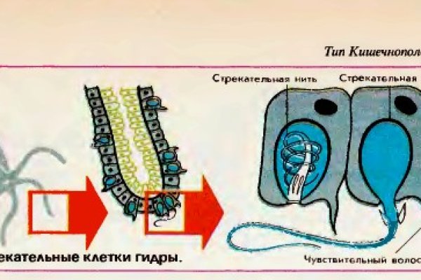 Даркмаркет кракен