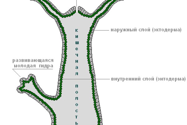 Ссылка кракен официальная тор